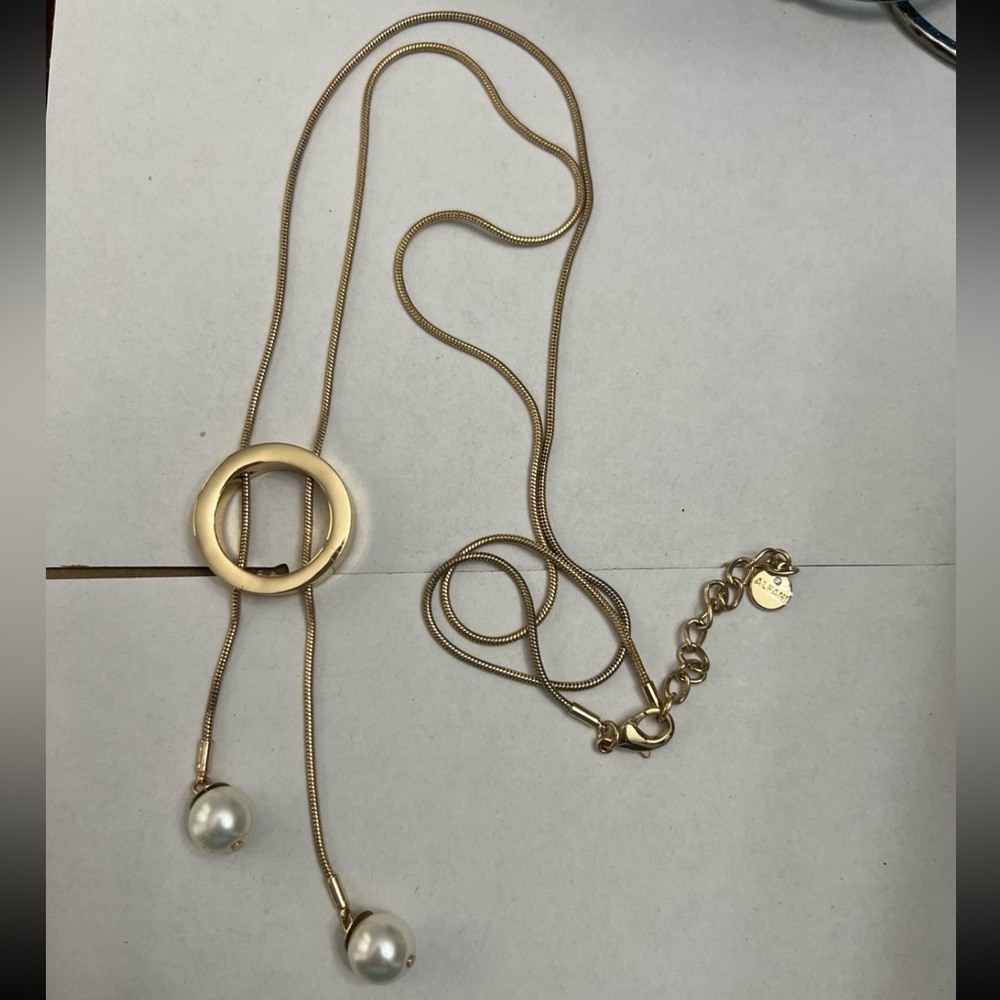 Alfani necklace